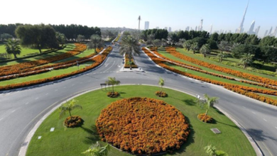Innovative Botany: Dubai's Unique Approaches to Urban Greenery