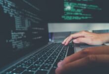 Top Programming Languages for Development