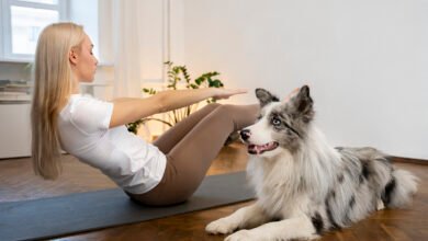 How to Create a Pet-Friendly Home Environment for Optimal Health