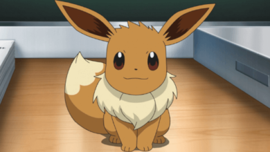 Eevee:Sng2jldmvjg= Pokemon