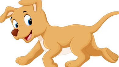 Cute:6flsthamxjw= Dog Clipart