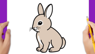 Cute:5kugqx1uv3y= Rabbit Drawing