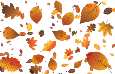 Animated:7ftgccuo69q= Falling Leaves Gif