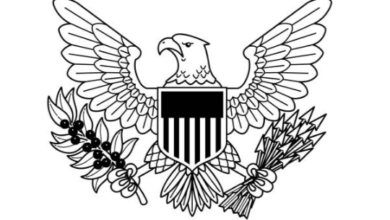 Outline:3youv2fotx4= Eagle Clipart