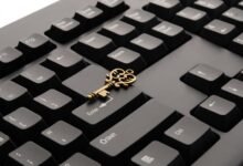 decoding digital enigmas unveiled