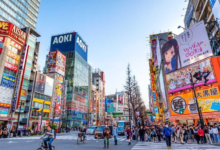 Family-Friendly Japan Tour Packages with Flamingo Travels