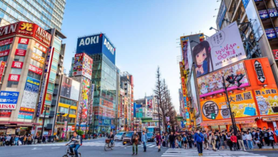 Family-Friendly Japan Tour Packages with Flamingo Travels