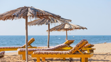Golden Triangle with Goa Tour: India’s Best Culture & Beach Combo