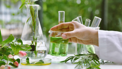 From Root to Remedy: Choosing the Right Herbal Extracts Supplier for Quality and Purity
