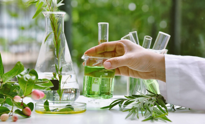From Root to Remedy: Choosing the Right Herbal Extracts Supplier for Quality and Purity