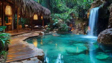 Discover the Untamed Beauty of Kerala’s National Parks