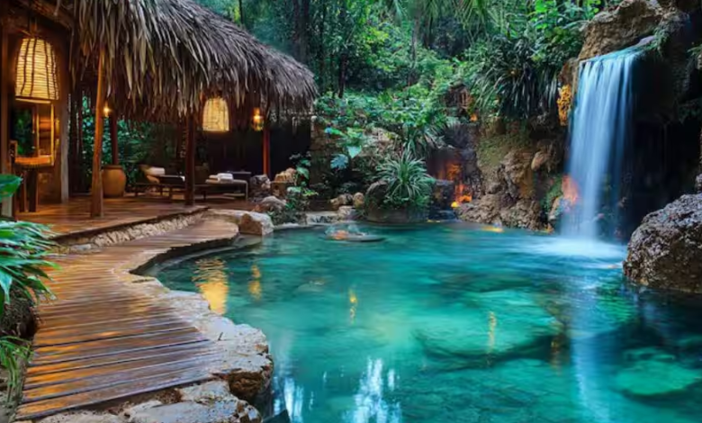 Discover the Untamed Beauty of Kerala’s National Parks