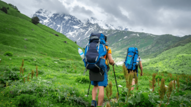 Trekking in Uttarakhand: Top Trails for Nature Lovers