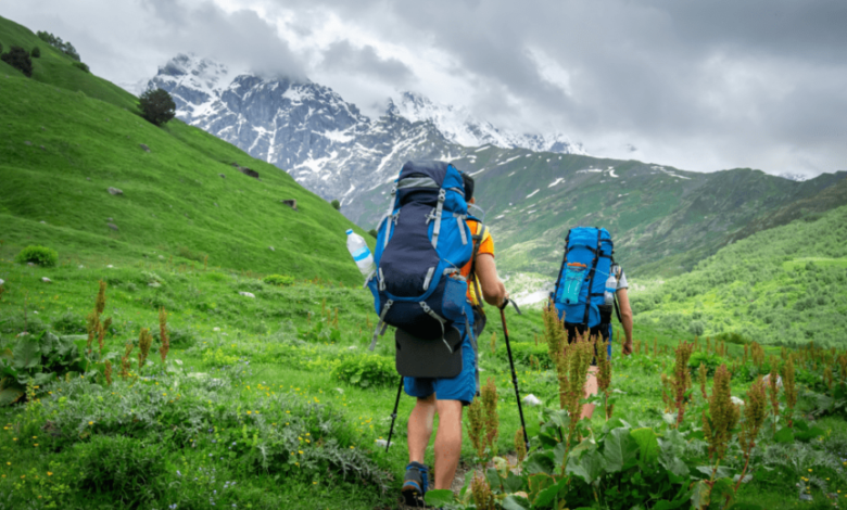 Trekking in Uttarakhand: Top Trails for Nature Lovers