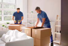 Why Pune's Growing Population Needs Professional Moving Solutions?