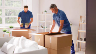 Why Pune's Growing Population Needs Professional Moving Solutions?