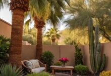 What are The Best Shade Trees for Tucson Backyards