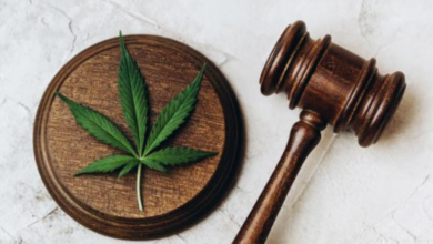 Is Hemp Legal in Georgia? What Young Adults Need to Know