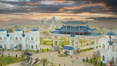 Blue World City New Deal with Chinese Company | Details 2025