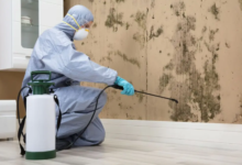 DIY vs. Professional Pest Control: Which One Really Works Better?