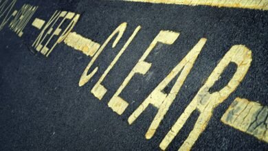 guide to zihollkoc details