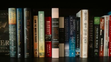 hidghanem palidahattiaz overview