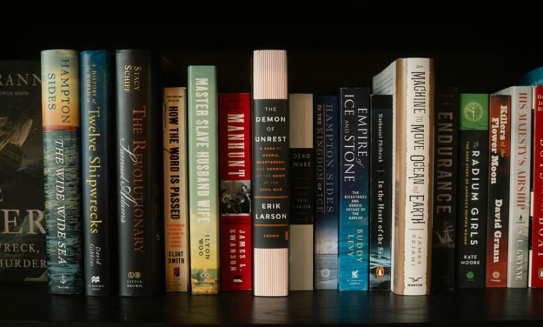 hidghanem palidahattiaz overview