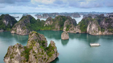 What’s Included in Our Vietnam Tour Packages 2026 – Flights, Hotels & More