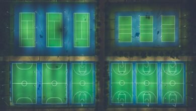 pammammihran fahadahadad overview summary