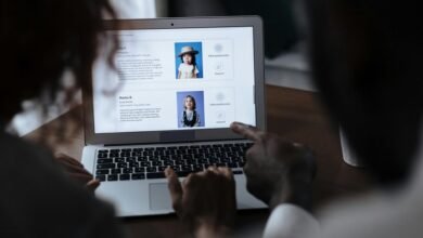 voehentai platform evaluation summary