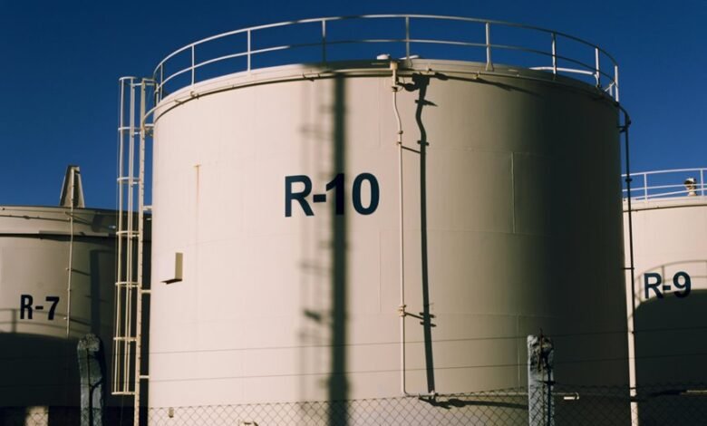 zihollkoc overview summary