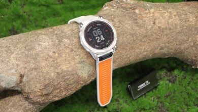 bankroll tracking and feedback