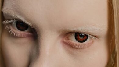 contact information overview provided