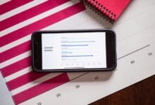 validate and review specific call inputs