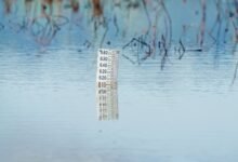 advanced monitoring classification ids listed
