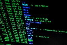 corporate data sequence file identifiers