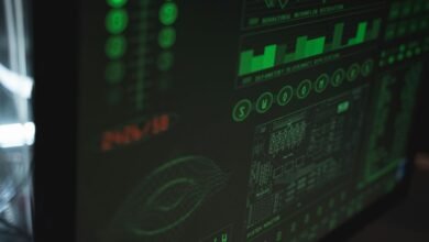 cyber infrastructure coordination team members