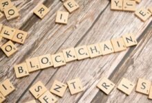 cyber network trace ledger identifiers