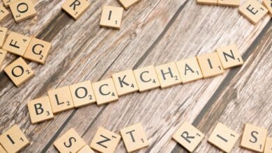 cyber network trace ledger identifiers