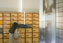 digital identity reference archive entities