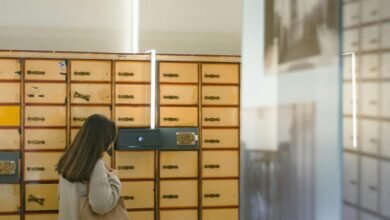 digital identity reference archive entities