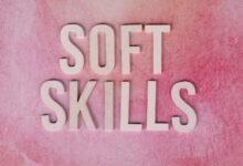 dimrekemesgen skills described clearly