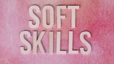 dimrekemesgen skills described clearly