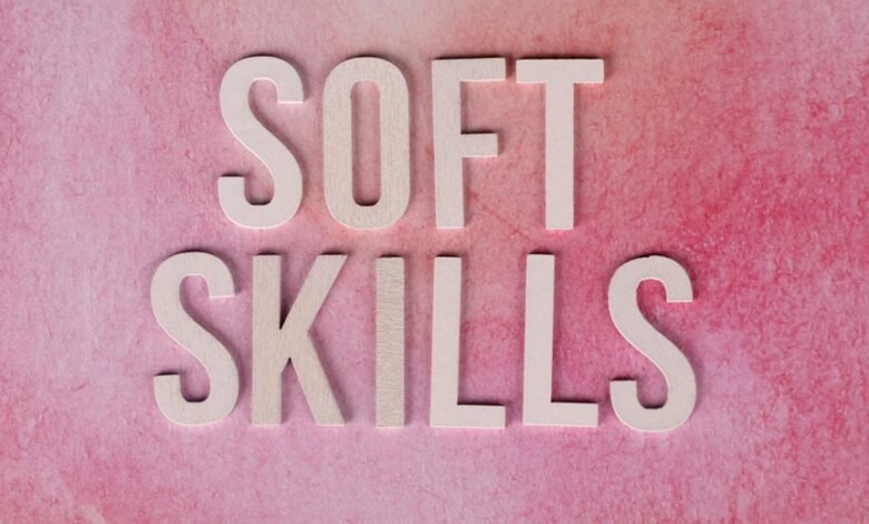 dimrekemesgen skills described clearly