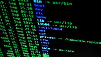 operational security examination identifiers listed
