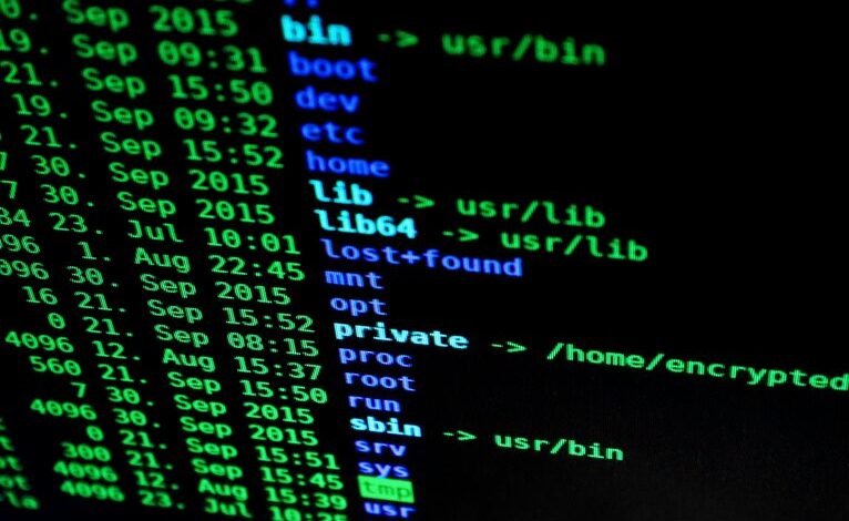 structured network observation file details usernames and sites