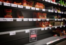 food type size potential harm and issue