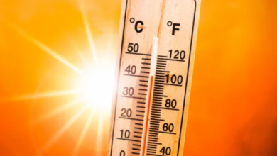 quog5.4.15.0 oven temperature about tozdroilskeux problems