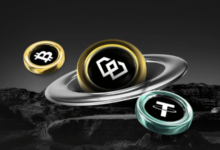 www .bitclassic.org arcarrierpoint net blackrocklast com vietgamei com