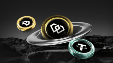 www .bitclassic.org arcarrierpoint net blackrocklast com vietgamei com